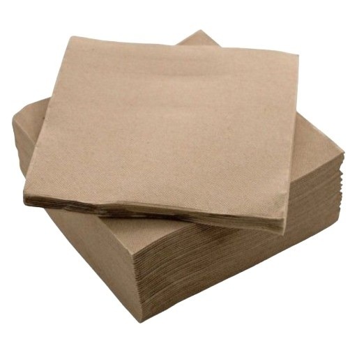 SERVILLETAS DE PAPEL  20X20 2H NATUR ECO P/100U