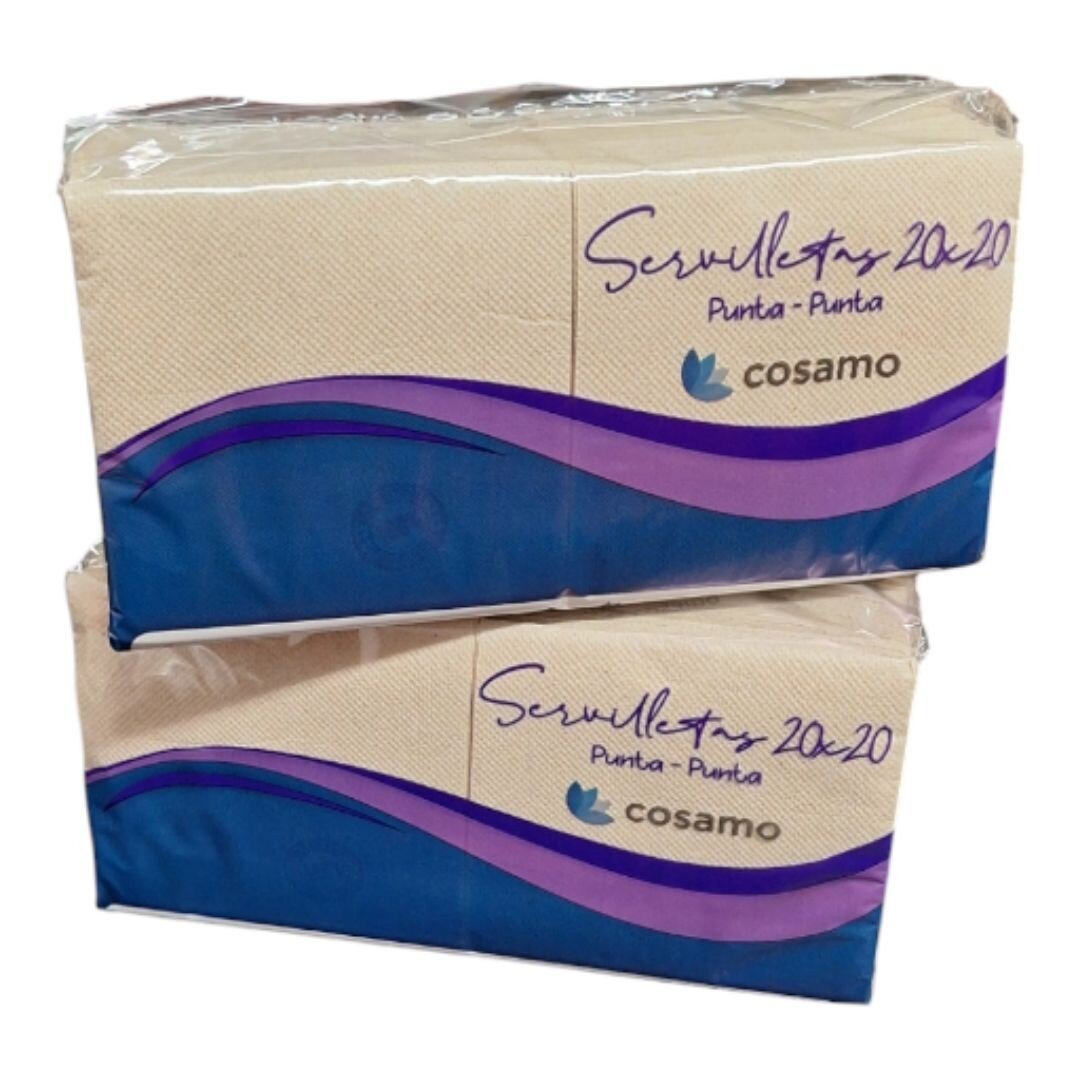 SERVILLETAS DE PAPEL NATURE 20X20 2 CAPAS P/100 UDS